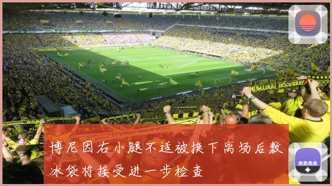 博尼因右小腿不适被换下离场后敷冰袋将接受进一步检查